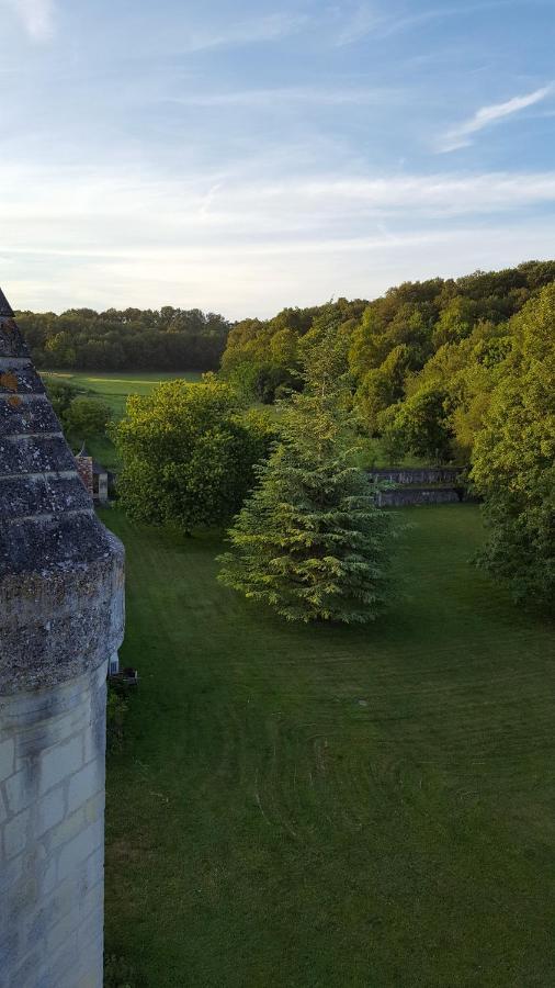 Chateau De Re Le Petit-Pressigny Buitenkant foto